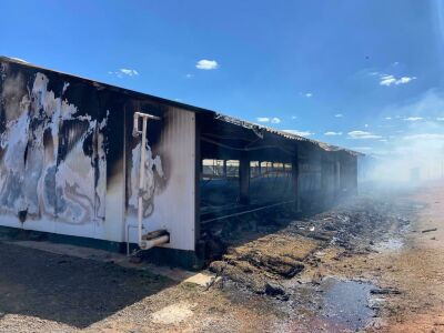 Imagem da notícia Incêndio atinge e consome granja avícola na MS-306, em Chapadão do Sul